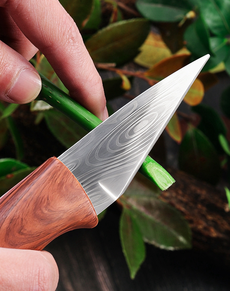 Grafting Knife Grafting Garden - Woodworking Veneer Cutter 리뷰 및 가격